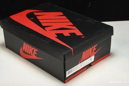 Retro 1 Jordan Stage Haze High OG 1110